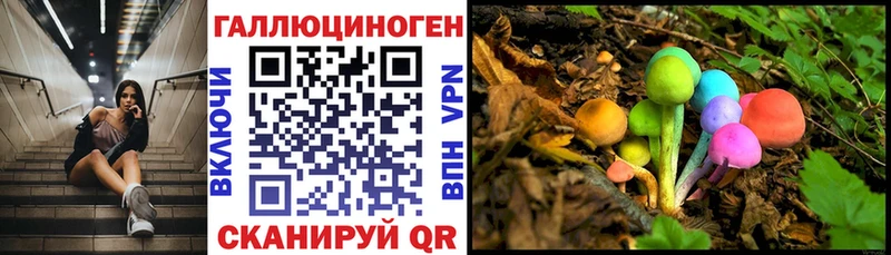Псилоцибиновые грибы Psilocybine cubensis  Грязи 